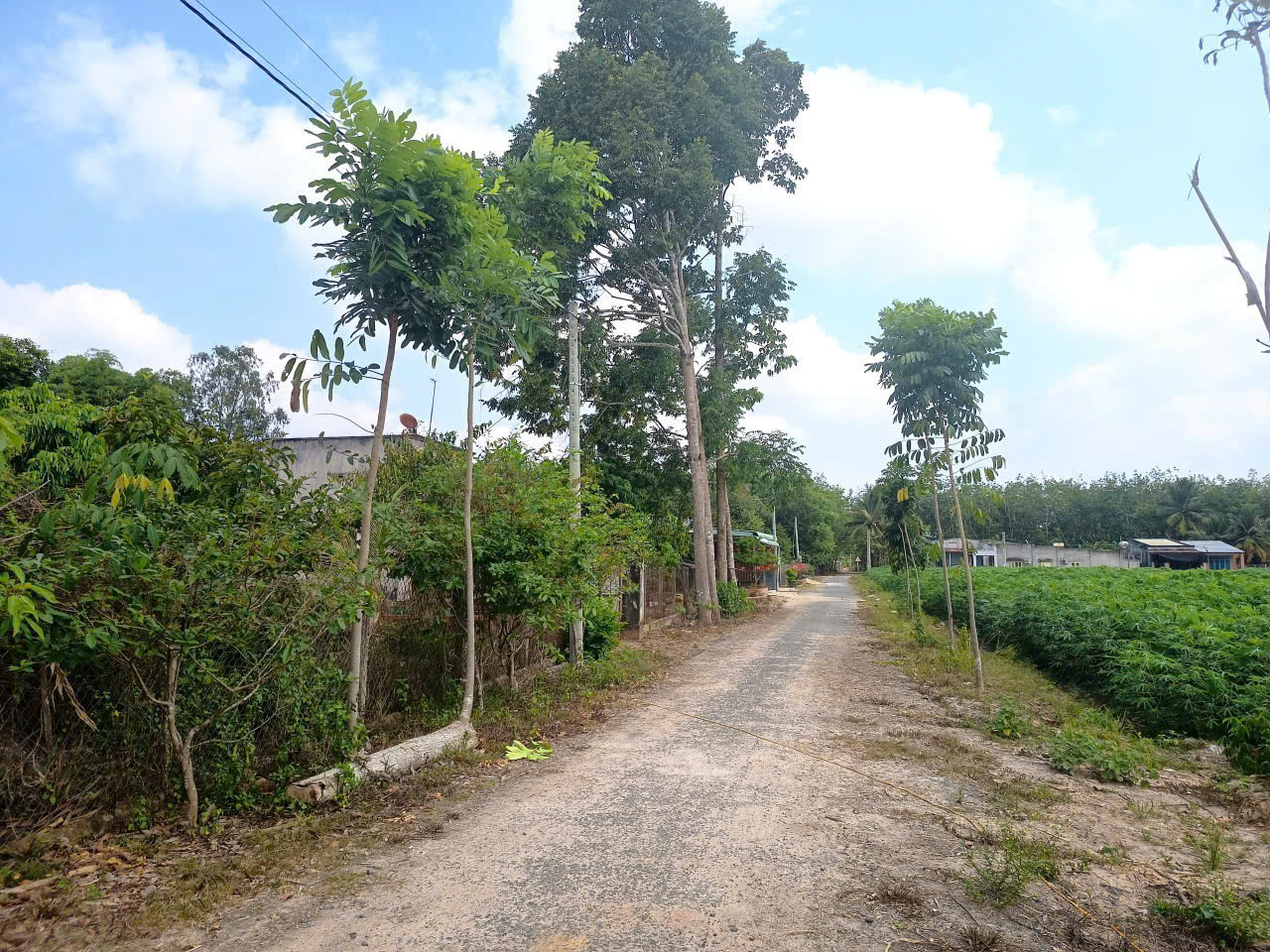 BÁN ĐẤT TÂY NINH – VỊ TRÍ ĐẸP – ĐƯỜNG NHỰA 6M – GIÁ TỐT 16002499