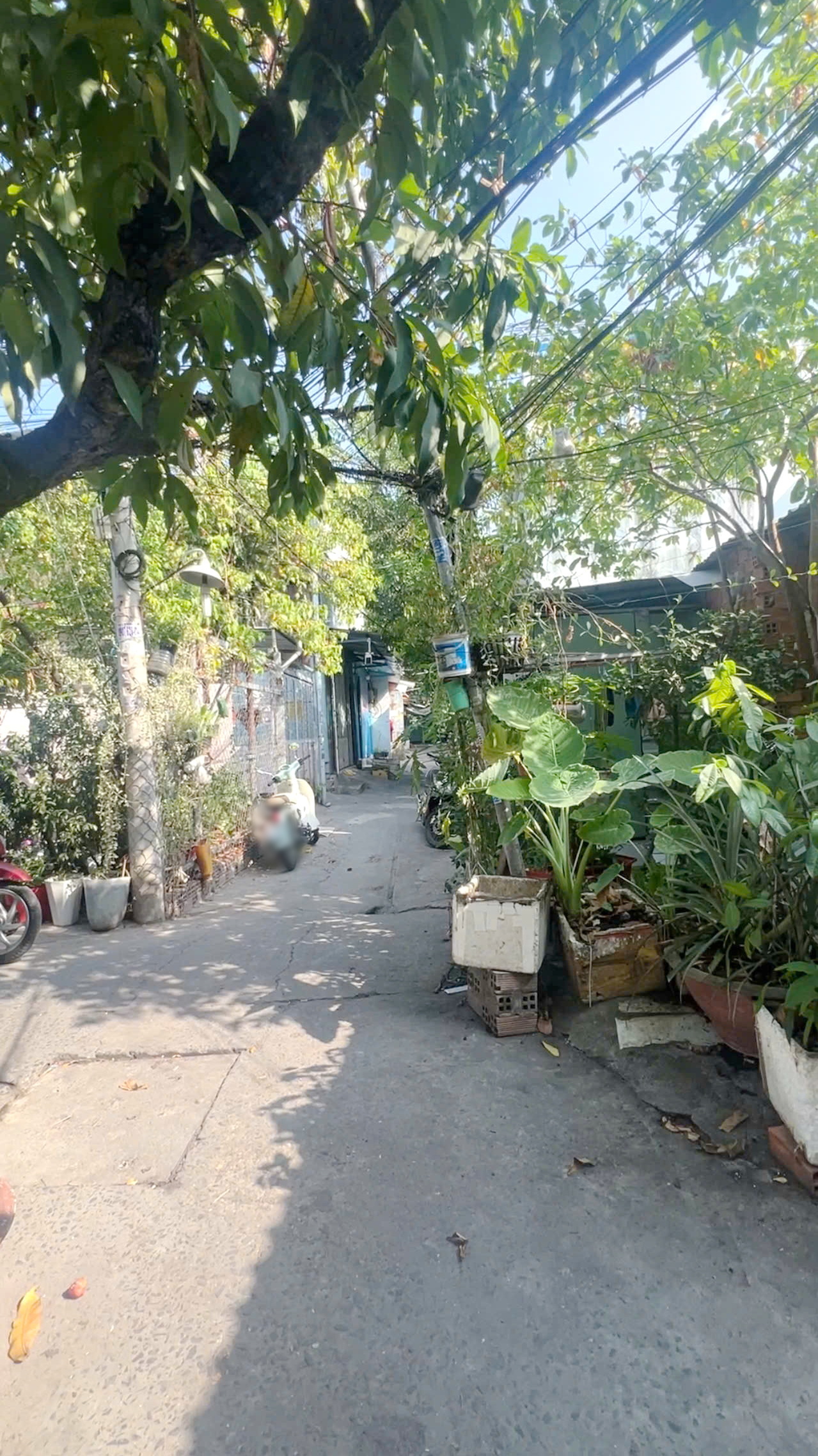 Nhà 2 tầng (4.3x18m) 3 mặt hẻm xe tải đường Bùi Minh Trực P5Q8. Giá: 3.5 tỷ 16002512