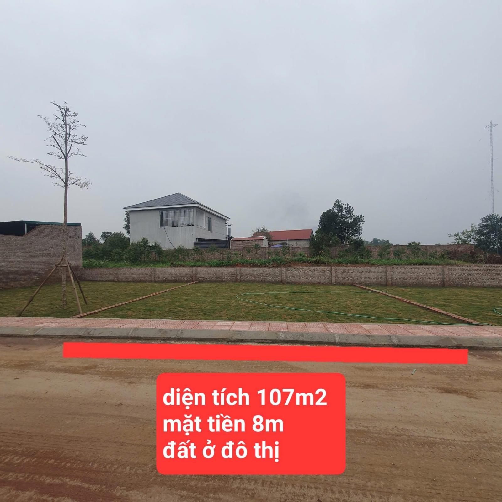 Đất phường tùng thiện sơn tây, trục chính kinh doanh, đường thông 16002550