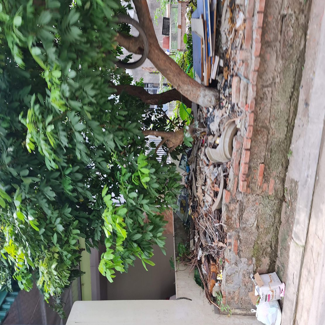 62m2 đất ngõ phố kinh doanh Cửu Việt, Trâu Quỳ, Gia Lâm. 8 tỷ 0xx. Lh 0989894845 16003056