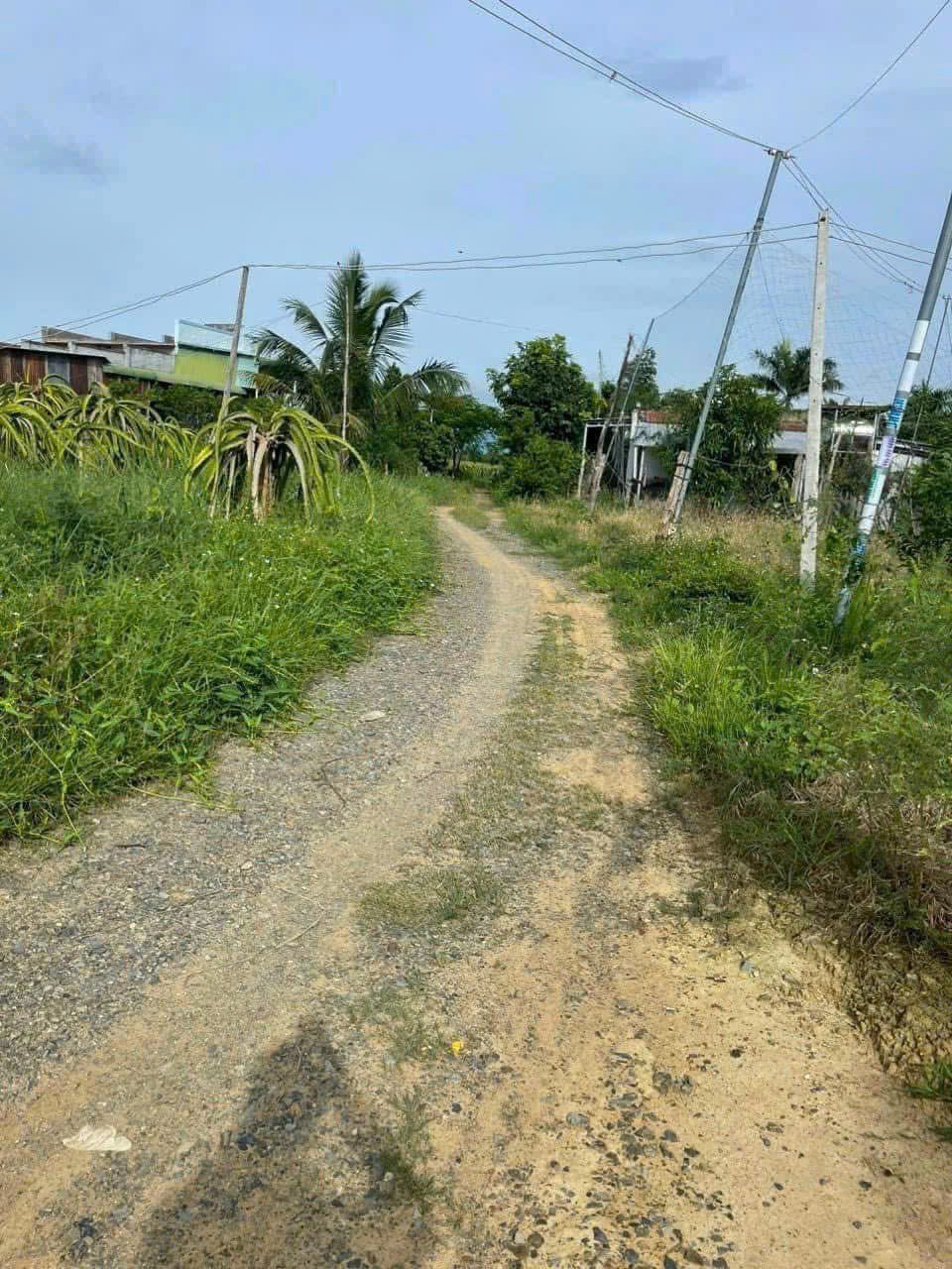 GIÁ TỐT - CHÍNH CHỦ Cần Bán Nhanh Lô Đất Vị Trí Tại Huyện hàm Thuận Nam, Tỉnh Bình Thuận 16003130