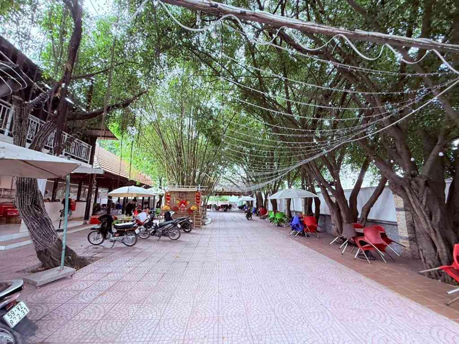 Bán gấp! Đất  MT Trịnh Thị Dối Đông Thạnh Hóc Môn 1053m2, giá 41 tỷ, Dòng Tiền 16003209