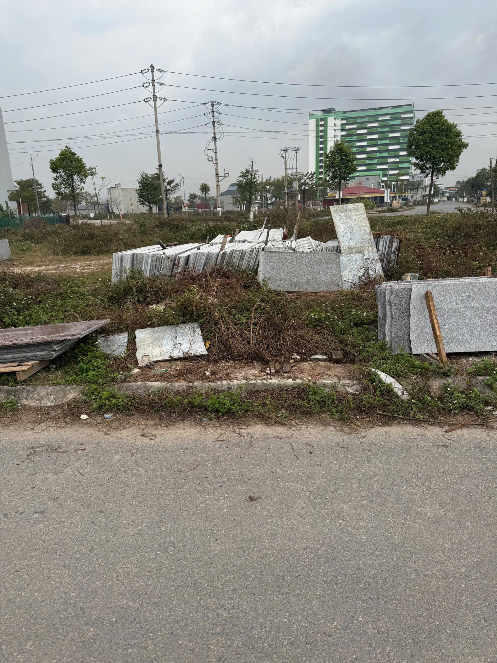 Bán đất Đường Nguyễn Thế Nho, Phường Việt Yên, Tỉnh Bắc Ninh: 100m2, MT 5m. Giá 3,4 tỷ 16003212