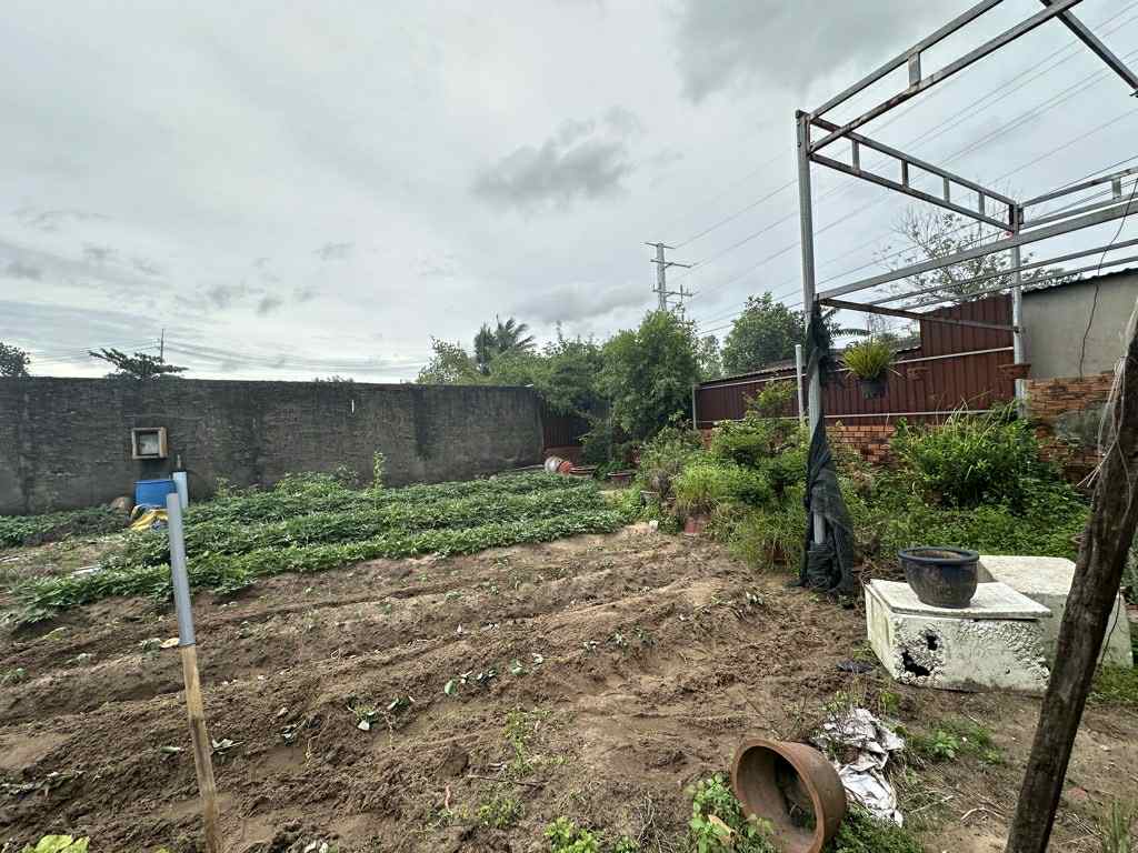 BÁN GẤP - 1510m2 Đất MT Xuân Thới Thượng 4-1, Hóc Môn, 35 TỶ. 16003349