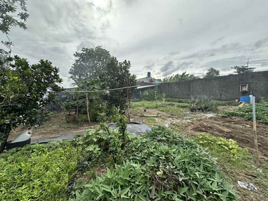 BÁN GẤP - 1510m2 Đất MT Xuân Thới Thượng 4-1, Hóc Môn, 35 TỶ. 16003349