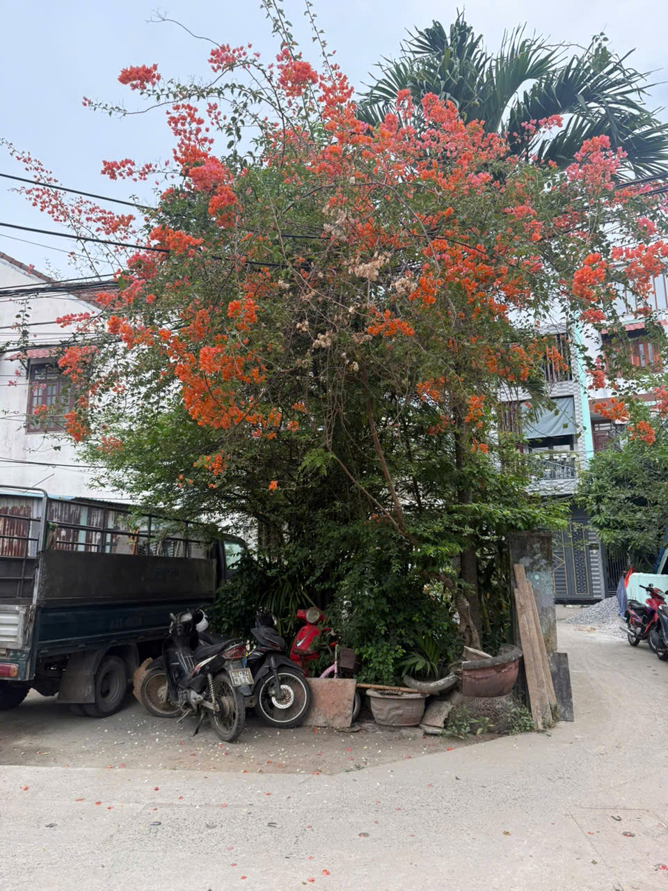 BÁN ĐẤT 2 MẶT KIỆT – KIỆT 699/18 TÔN ĐẢN, ĐÀ NẴNG 16003563