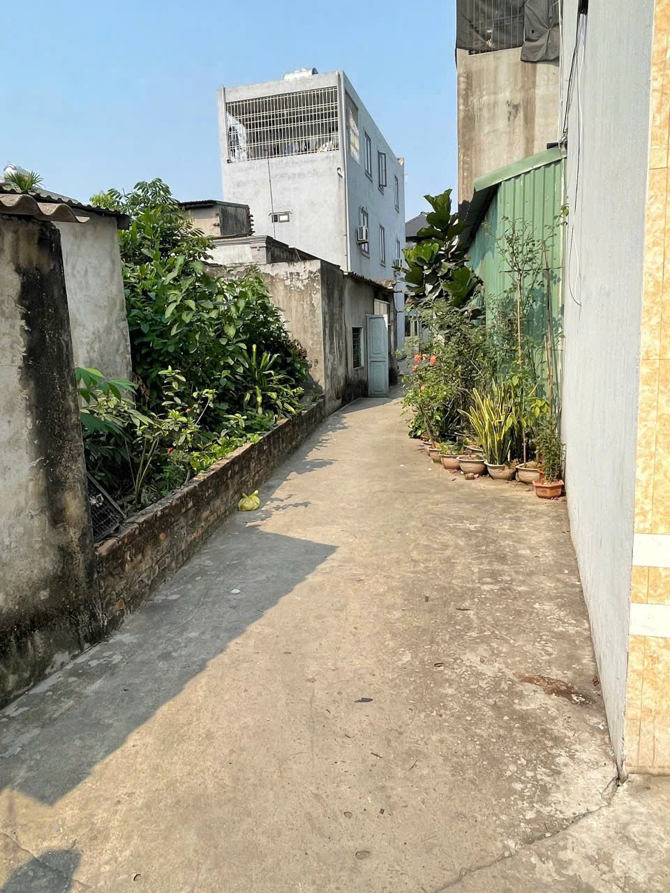 BÁN ĐẤT ĐÔNG HẢI – NGÕ THÔNG – MẶT TIỀN 5,4M – GIÁ 1,39 TỶ 16003566