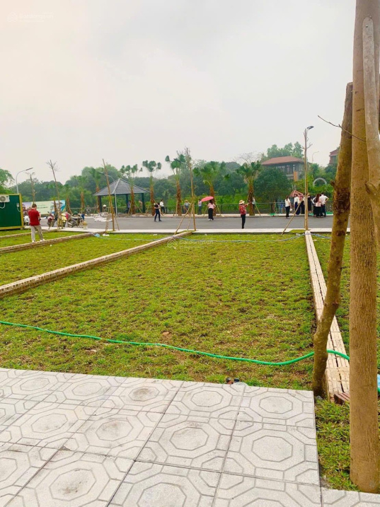 Lãi Kép tại Phú Cát giá trị tăng của đất + xây nhà cho thuê dòng tiền 600/năm gần Đại Học Quốc Gia 16003659