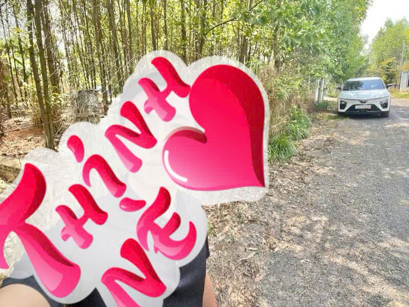 Bán đất 110m2 gần chợ Sở Quýt (Trảng Dài new),SHR đường 2 ô tô, giá cực rẻ 16003682