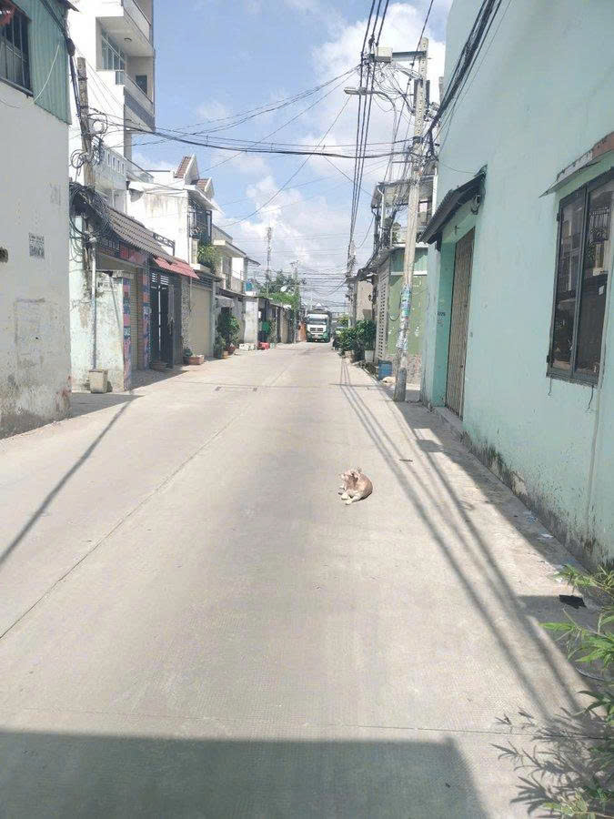 CHÍNH CHỦ BÁN NHÀ Mặt tiền Đường 8m, 2 XE TẢI tránh, thông QL1A + MÃ LÒ, gần Trạm Thu Phí TÂN KỲ 16003696