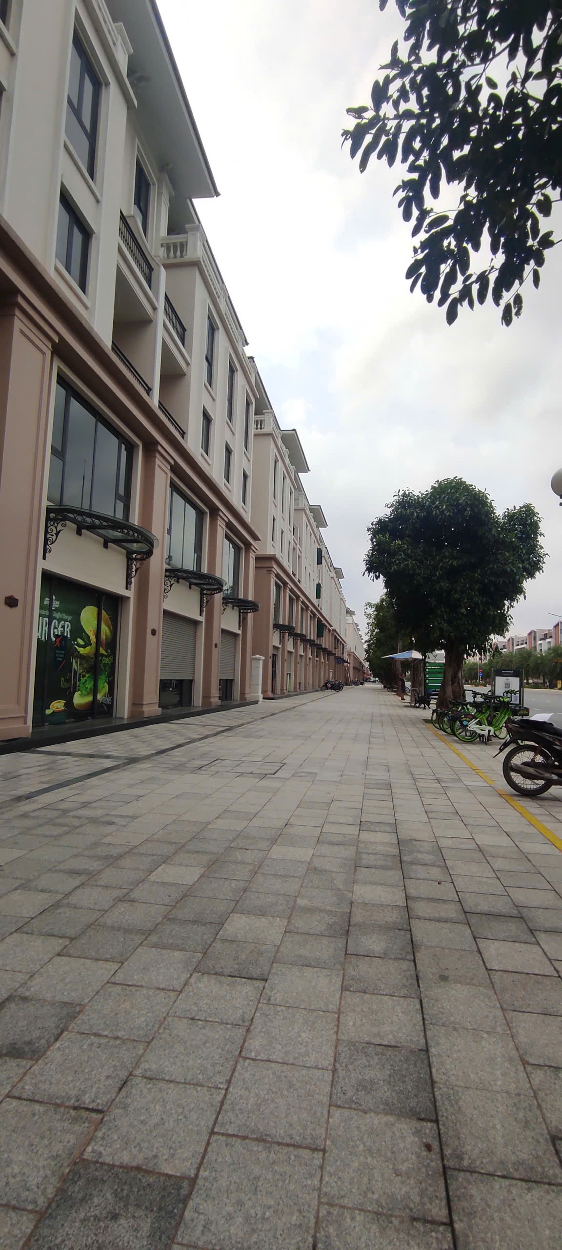 HOT SHOPHOUSE VINHOMES OCEAN PARK 3 – ĐẠI LỘ BỐN MÙA 16003788