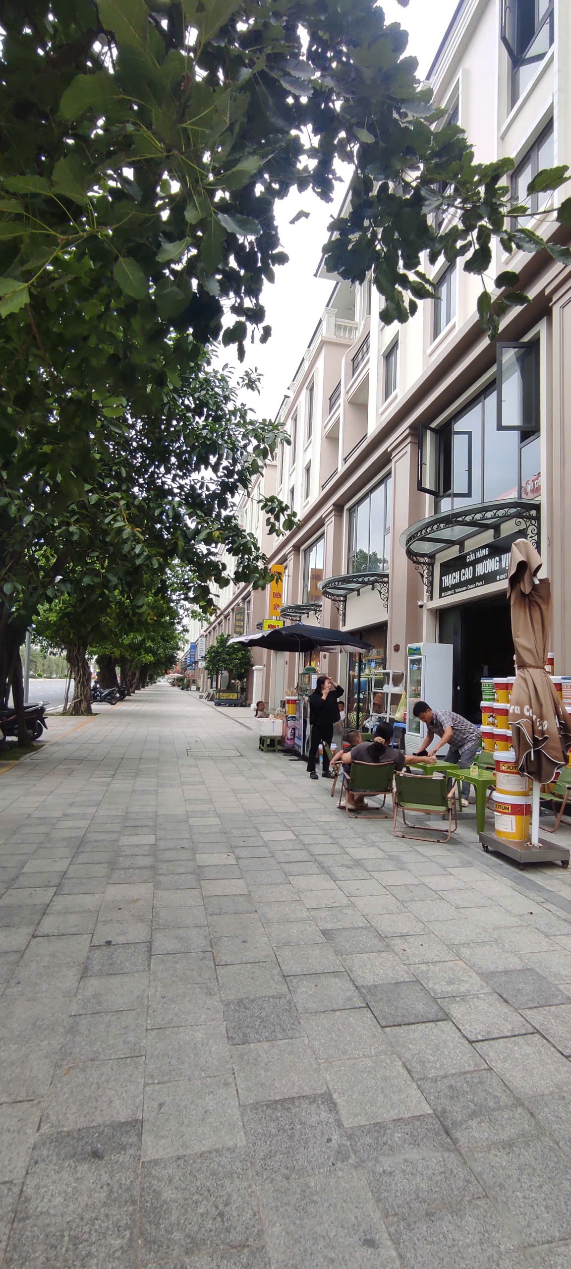 HOT SHOPHOUSE VINHOMES OCEAN PARK 3 – ĐẠI LỘ BỐN MÙA 16003788