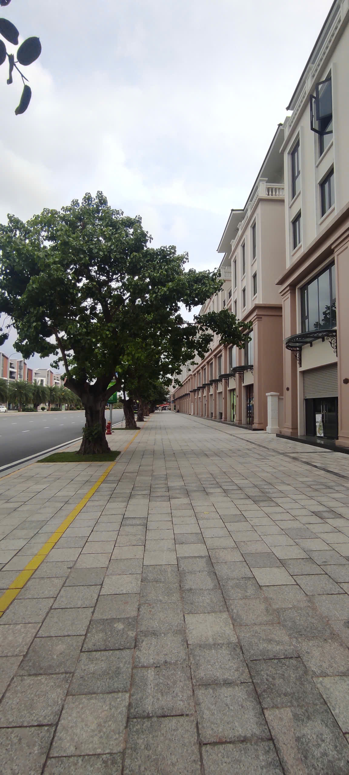 HOT SHOPHOUSE VINHOMES OCEAN PARK 3 – ĐẠI LỘ BỐN MÙA 16003788