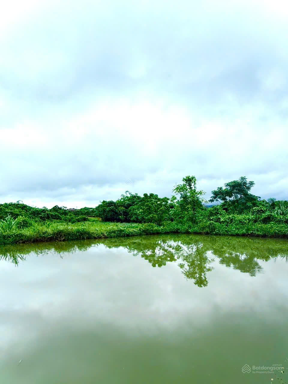 Chính chủ sang nhượng trang trại thủy sản 1 héc - ta hệ thống hiện đại, cách Đà Lạt 80km 16003797