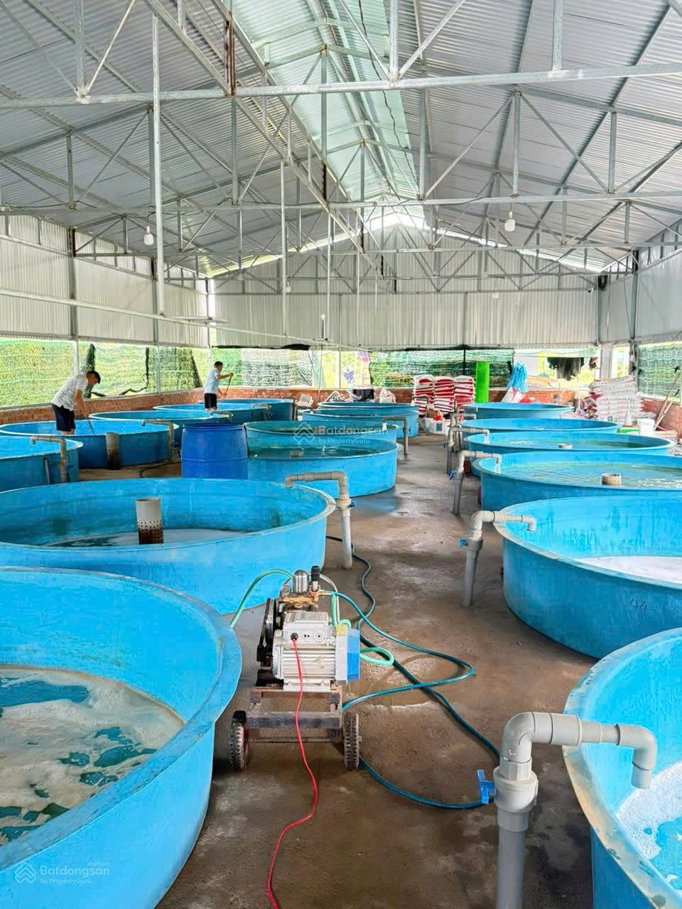 Chính chủ sang nhượng trang trại thủy sản 1 héc - ta hệ thống hiện đại, cách Đà Lạt 80km 16003797