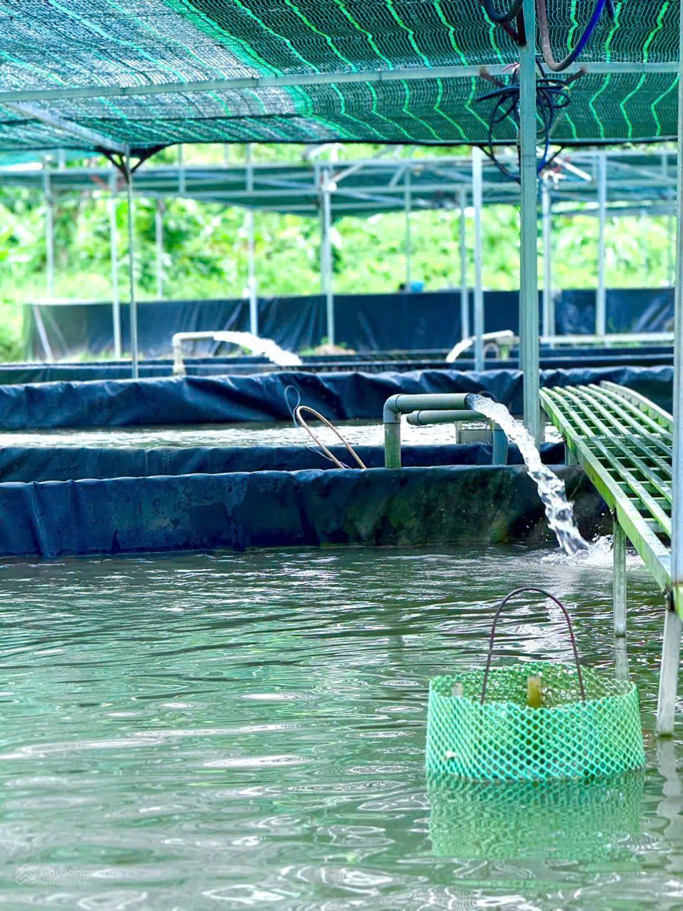 Chính chủ sang nhượng trang trại thủy sản 1 héc - ta hệ thống hiện đại, cách Đà Lạt 80km 16003797