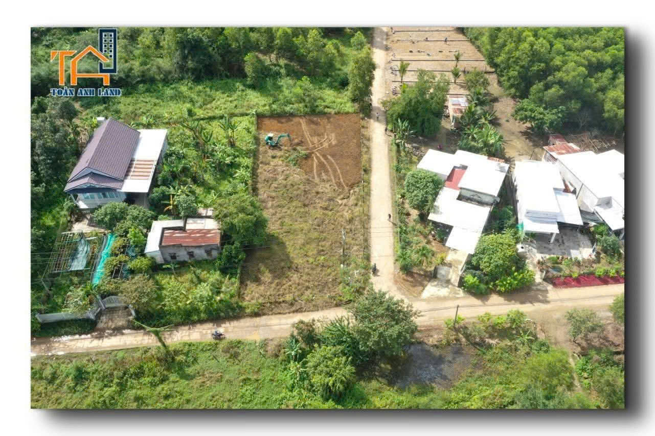 Chính chủ cần bán lô đất vị trí đẹp Thôn 2, xã Diên Đồng (Xuân Đồng), Diên Khánh, Khánh Hòa 16003995