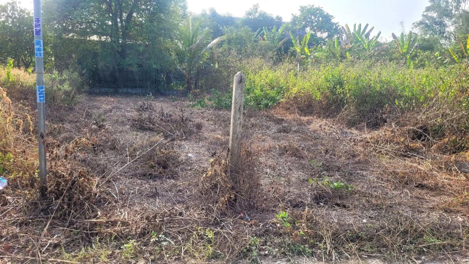 Chính chủ cần bán lô đất vị trí đẹp Thôn 2, xã Diên Đồng (Xuân Đồng), Diên Khánh, Khánh Hòa 16003995