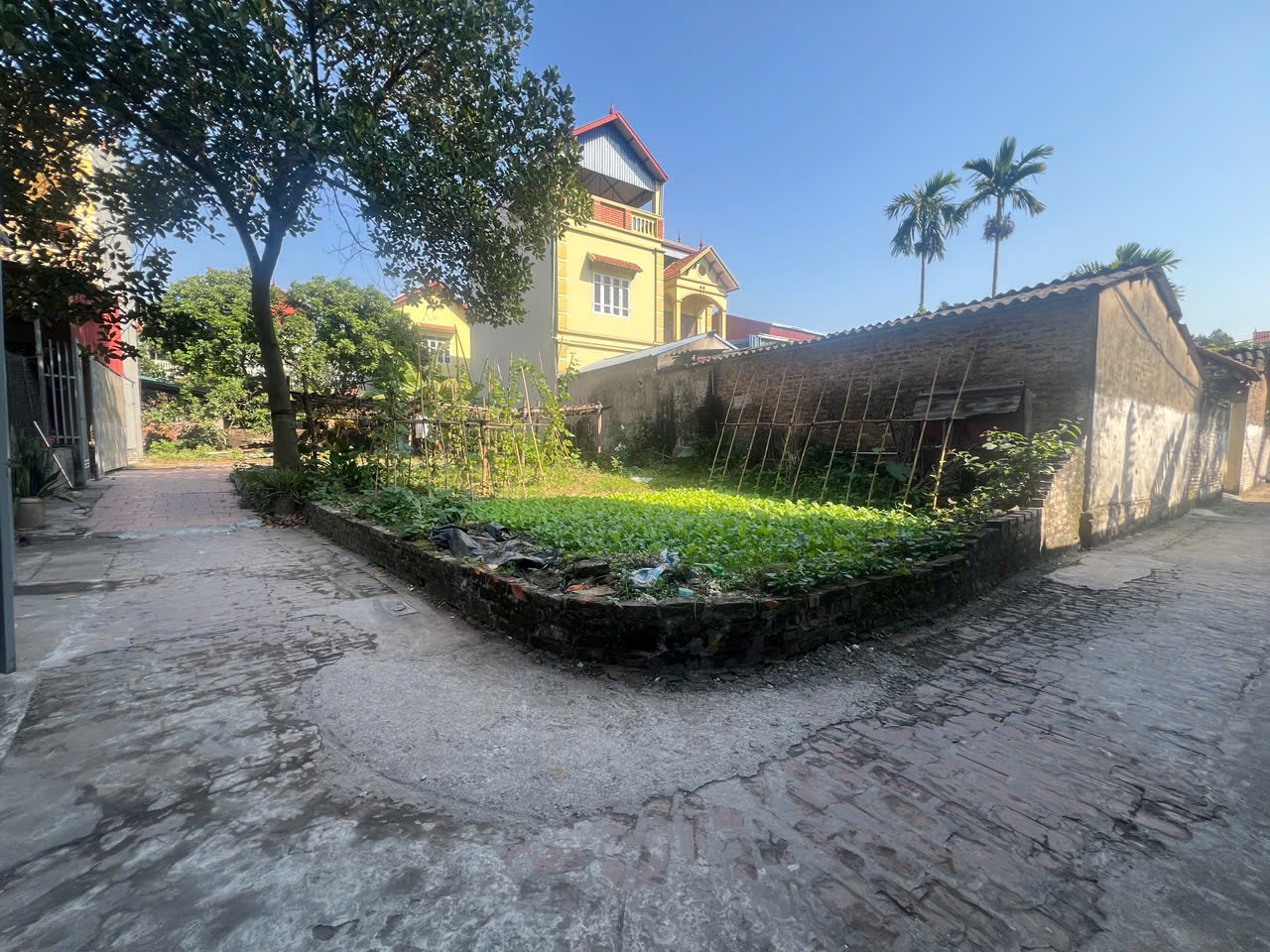 BÁN 52M LÔ GÓC ĐAN PHƯỢNG - GẦN HỒ ĐIỀU HÒA - NHỈNH 3 TỶ 16003997