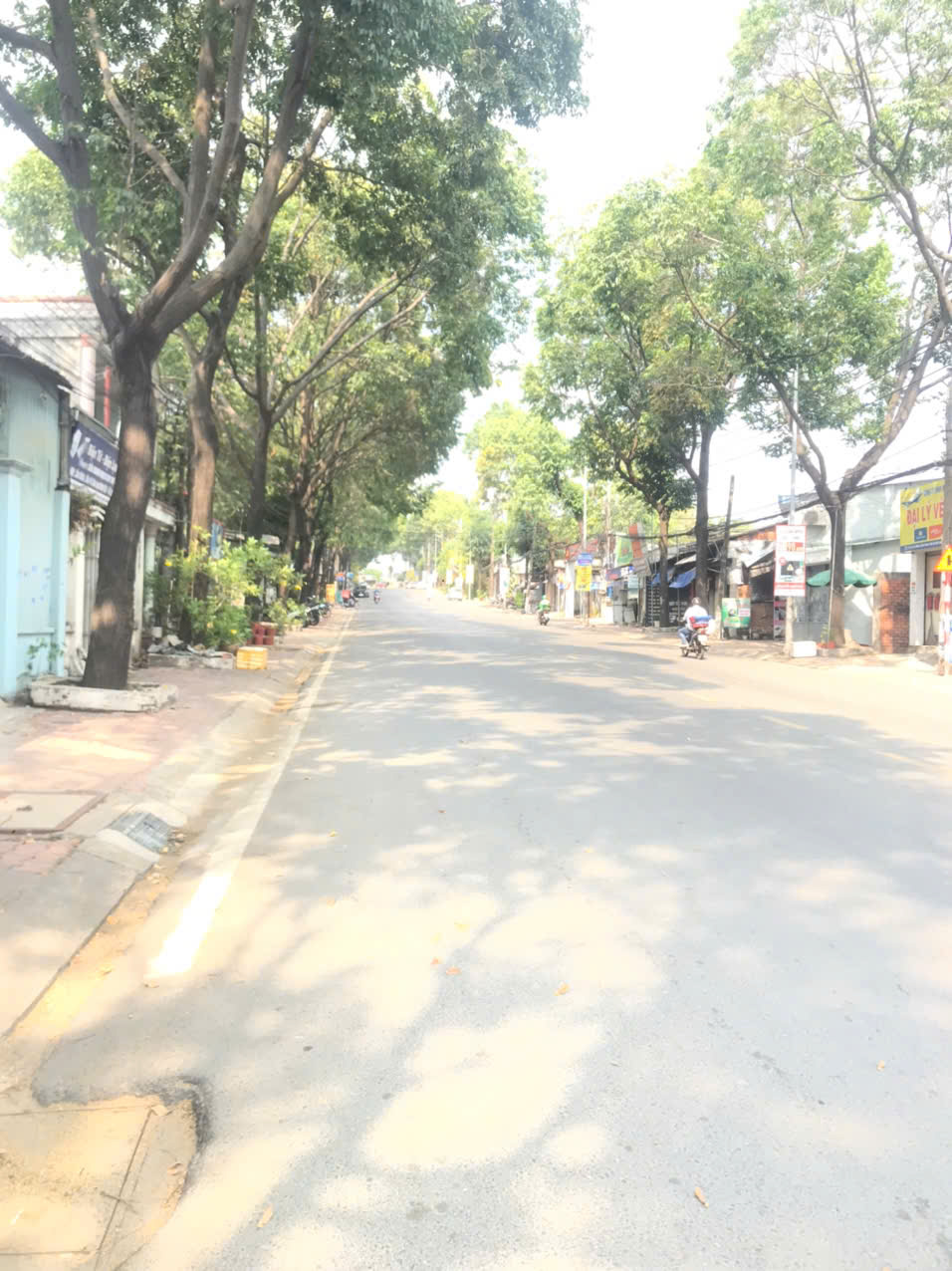 Bán gấp ngay phường Phú Thọ Thành Phố Thủ Dầu Một Bình Dương 16004148