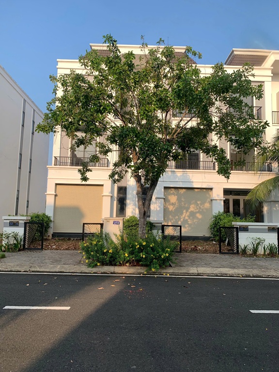 BÁN NHANH NHÀ LIỀN KỀ B5-06 KĐT PHÚC AN GARDEN – NHÀ ĐẸP, VỊ TRÍ TIỀM NĂNG Xã Trừ Văn Thố, Bàu Bàng 16004175