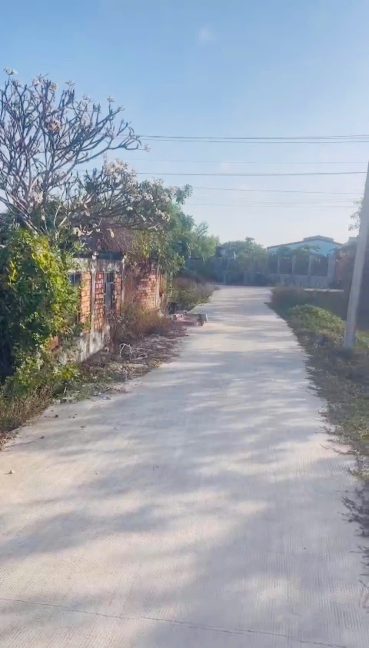 Bán 10m x 43m đất thổ cư Hẻm Tôn Đức Thắng, Phước Hội, Lagi giá ngộp 16004182