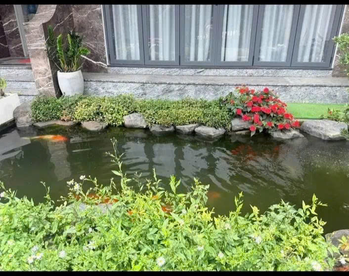 Cho thuê nhà 3 phòng Yersin, phường 9, Đà Lạt 65 triệu/tháng 16004194