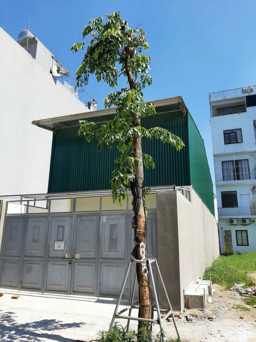 Chính chủ cho thuê nhà tại khu đô thị Nguyên Khê - Phúc Thịnh, Hà Nội 16004246