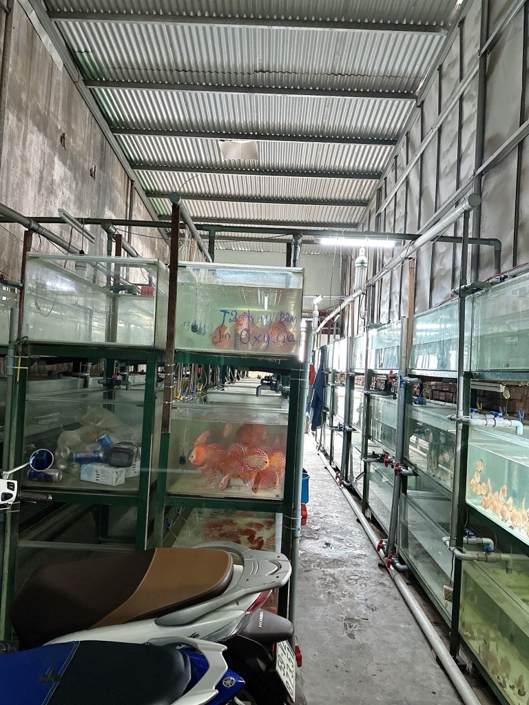 K2317* 🌟 NHÀ 1/ LÊ ĐỨC THỌ - DIỆN TÍCH KHỦNG 118M2 THỔ CƯ 🌟 16004301