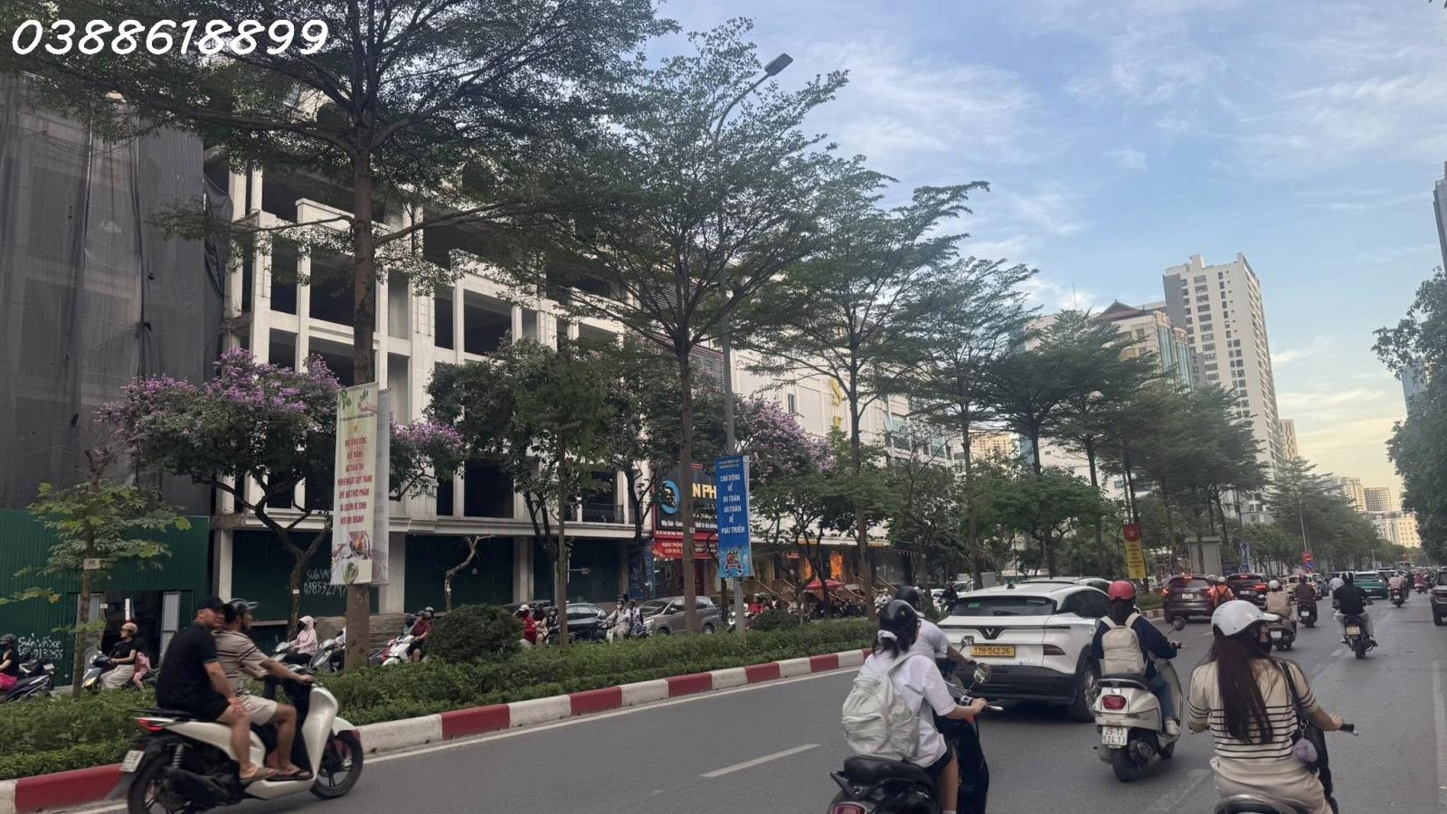 🏢 BÁN BIỆT THỰ ĐƠN LẬP MẶT PHỐ TRẦN THÁI TÔNG - CẦU GIẤY - 190M2 - MẶT TIỀN 14M - 85,5 TỶ 16004320