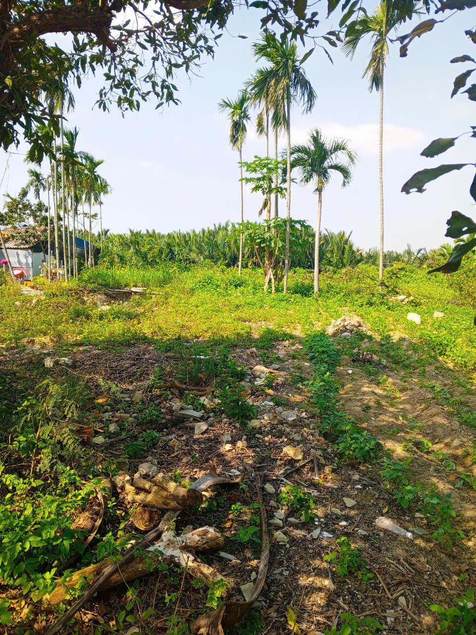 Chủ kẹt tiền cần bán lô đất tại MT đường DX 017 có 1000 m² đất ở., Cẩm Thanh giá 20 tỷ 16004409