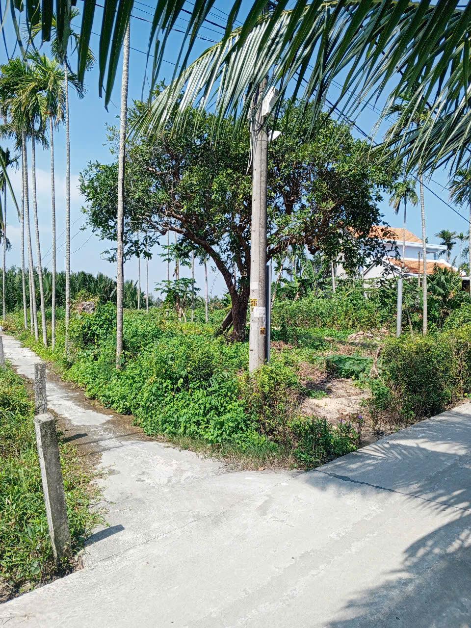 Chủ kẹt tiền cần bán lô đất tại MT đường DX 017 có 1000 m² đất ở., Cẩm Thanh giá 20 tỷ 16004409