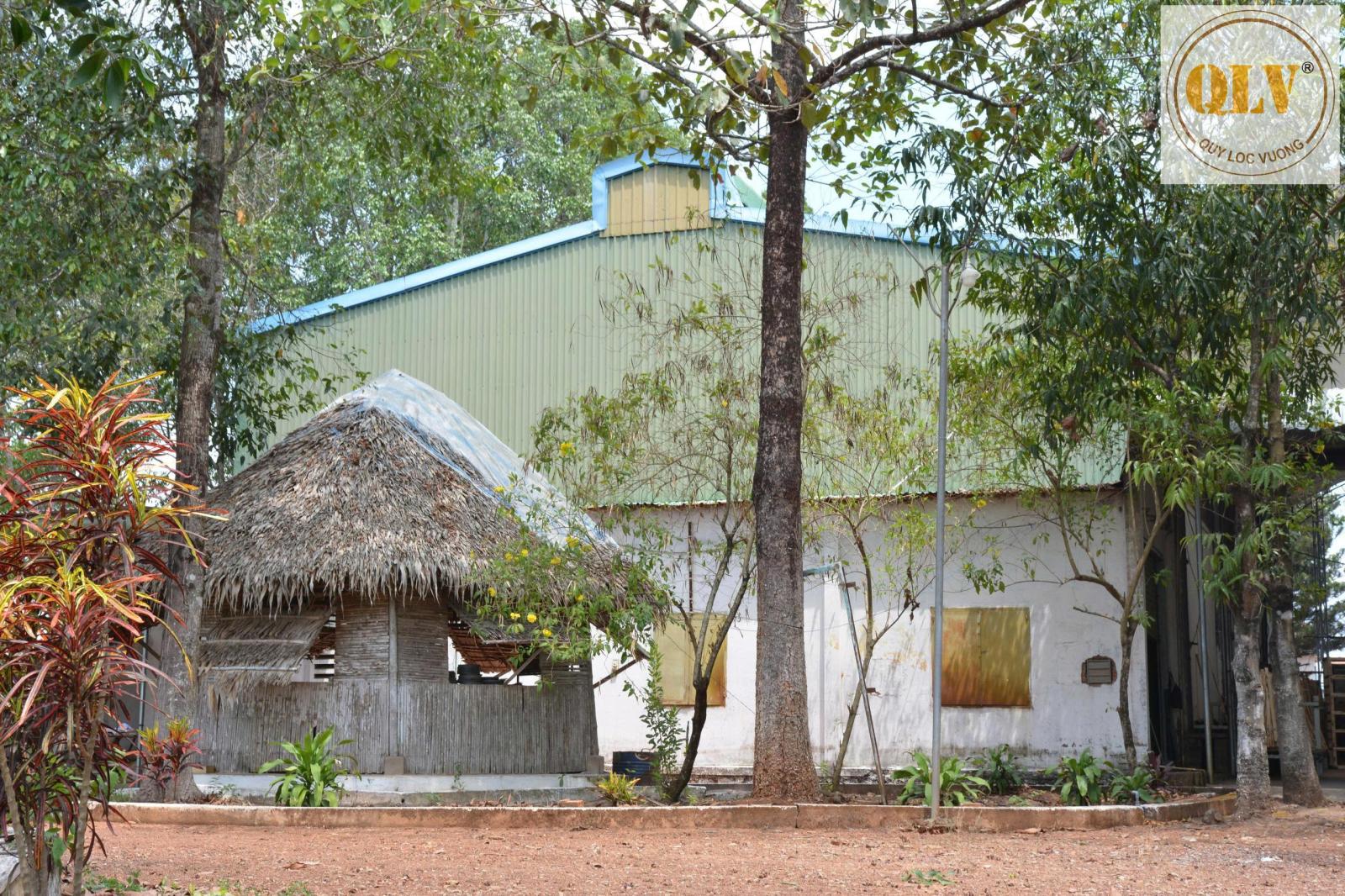 BÁN NHÀ XƯỞNG SẢN XUẤT TẠI ĐỊNH QUÁN, ĐỒNG NAI – 26.025m² 16004472