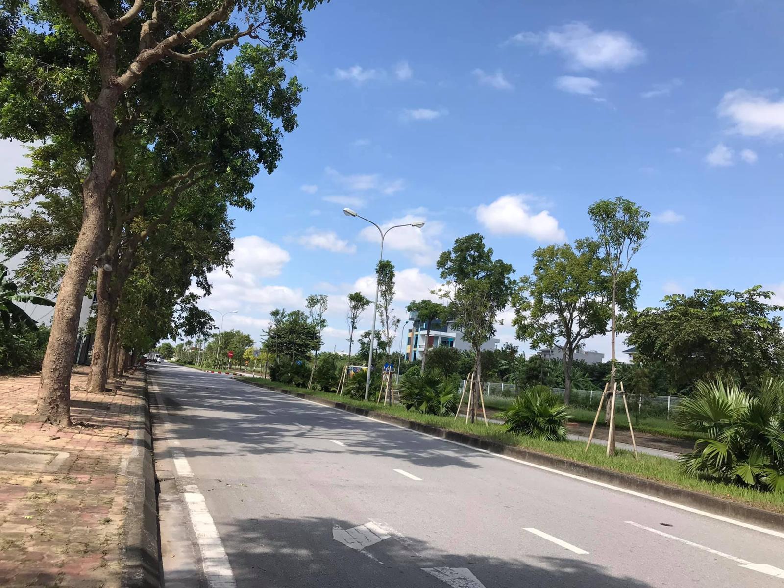 Bán đất mặt đường đôi Phạm Văn Đồng, ph Tứ Minh, TP HD, 69.8m2, mt 4.5m, chỉ 3.5x tỷ 16004648