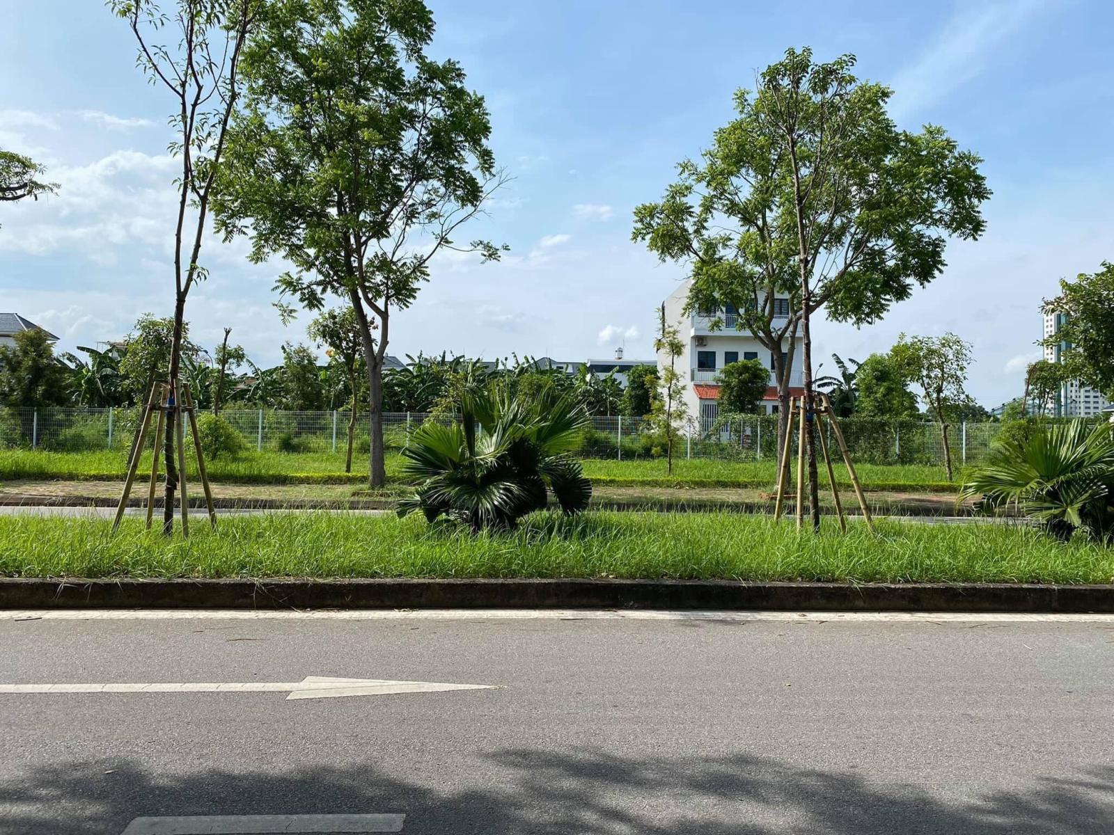 Bán đất mặt đường đôi Phạm Văn Đồng, ph Tứ Minh, TP HD, 69.8m2, mt 4.5m, chỉ 3.5x tỷ 16004648