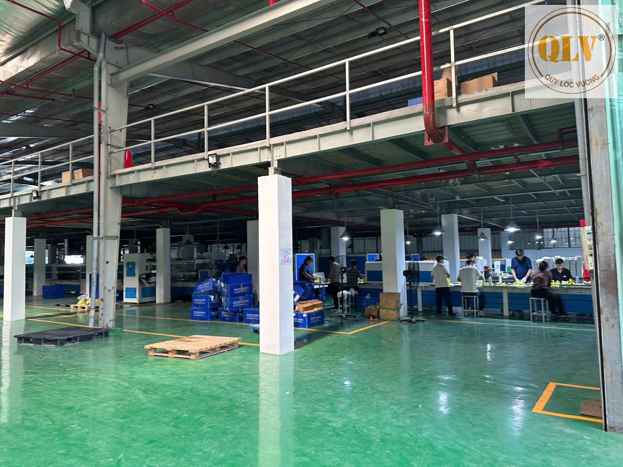 BÁN NHÀ XƯỞNG SẢN XUẤT TẠI KCN DĨ AN, BÌNH DƯƠNG – 5.346m² 16004686