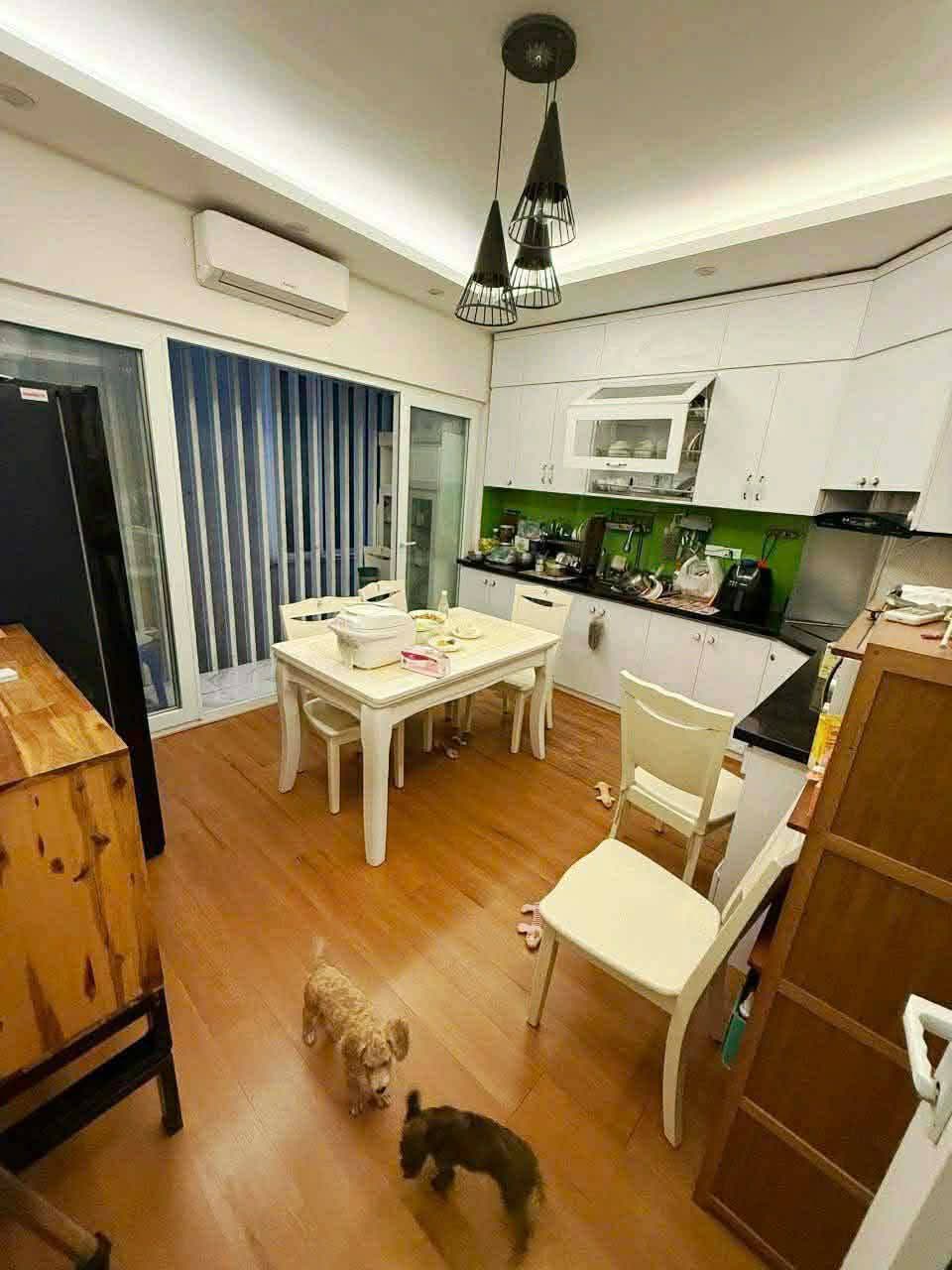 GIẢM SỐC NHÀ KIM MÃ PHỐ VIP BA ĐÌNH FULL NỘI THẤT 47M X 5 TẦNG MT 4,3M NHỈNH 12 TỶ  16004741