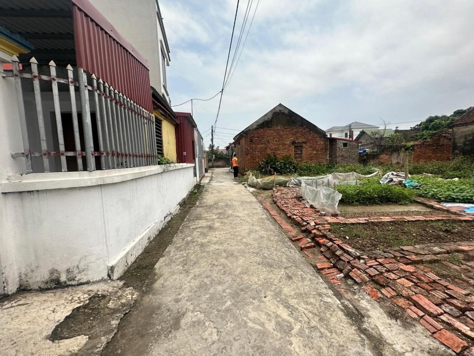 BÁN ĐẤT HÒA ĐAM – THƯỢNG HỒNG – MỸ HÀO 16004785
