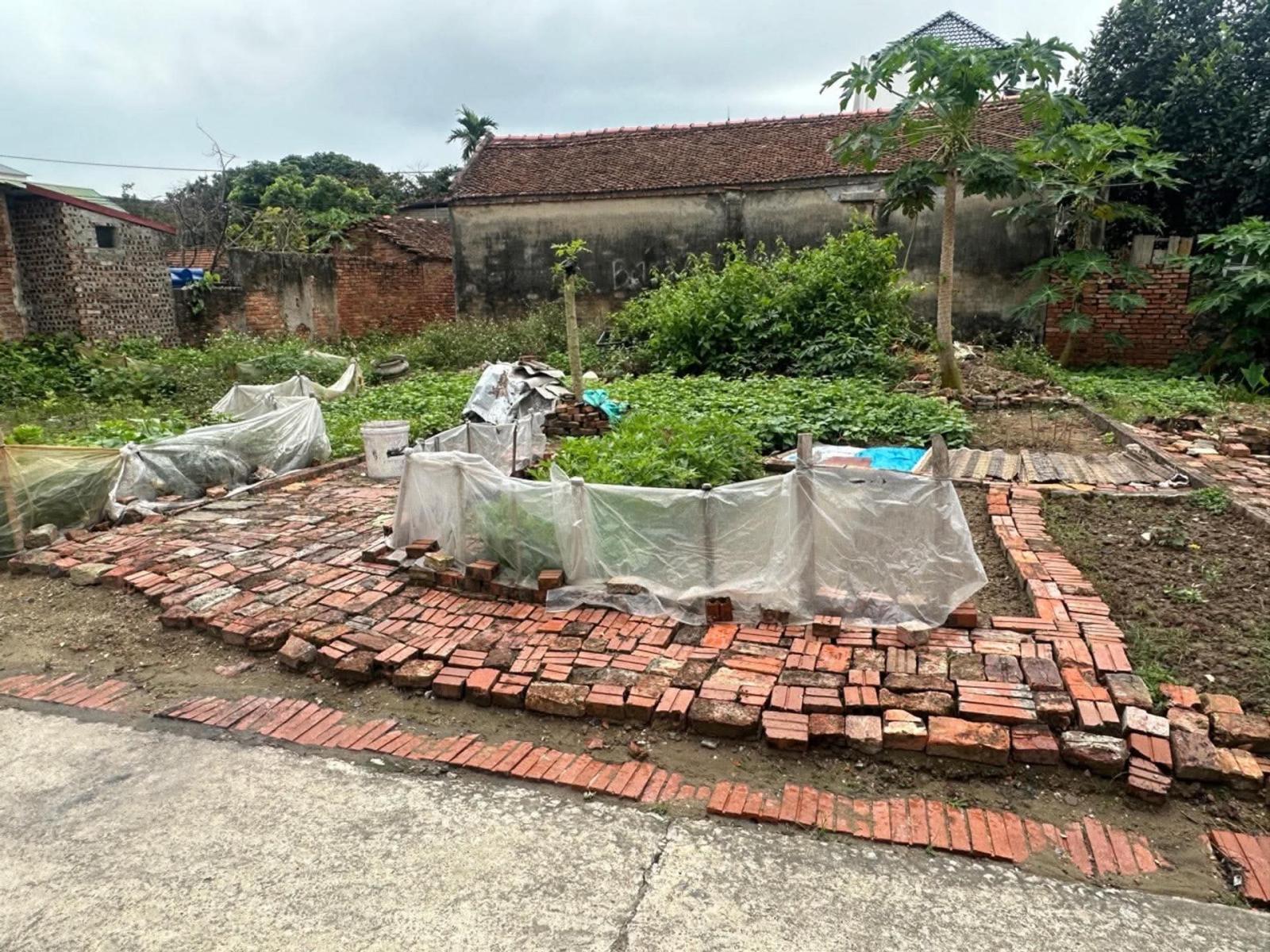 BÁN ĐẤT HÒA ĐAM – THƯỢNG HỒNG – MỸ HÀO 16004785