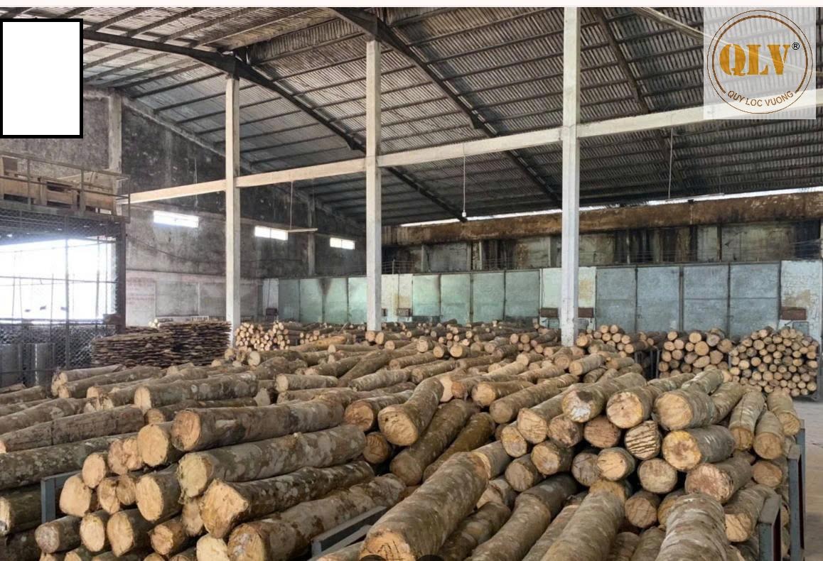 BÁN NHÀ XƯỞNG TẠI XUÂN PHÚ, ĐÀ NẴNG – 58.591m²
 16004892