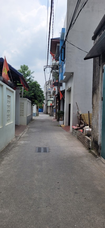 Chính chủ bán đất Cổ Dương, Tiên Dương, Đông Anh - 52,2m2, đường quy hoạch 10m, cơ hội đầu tư tốt 16004910