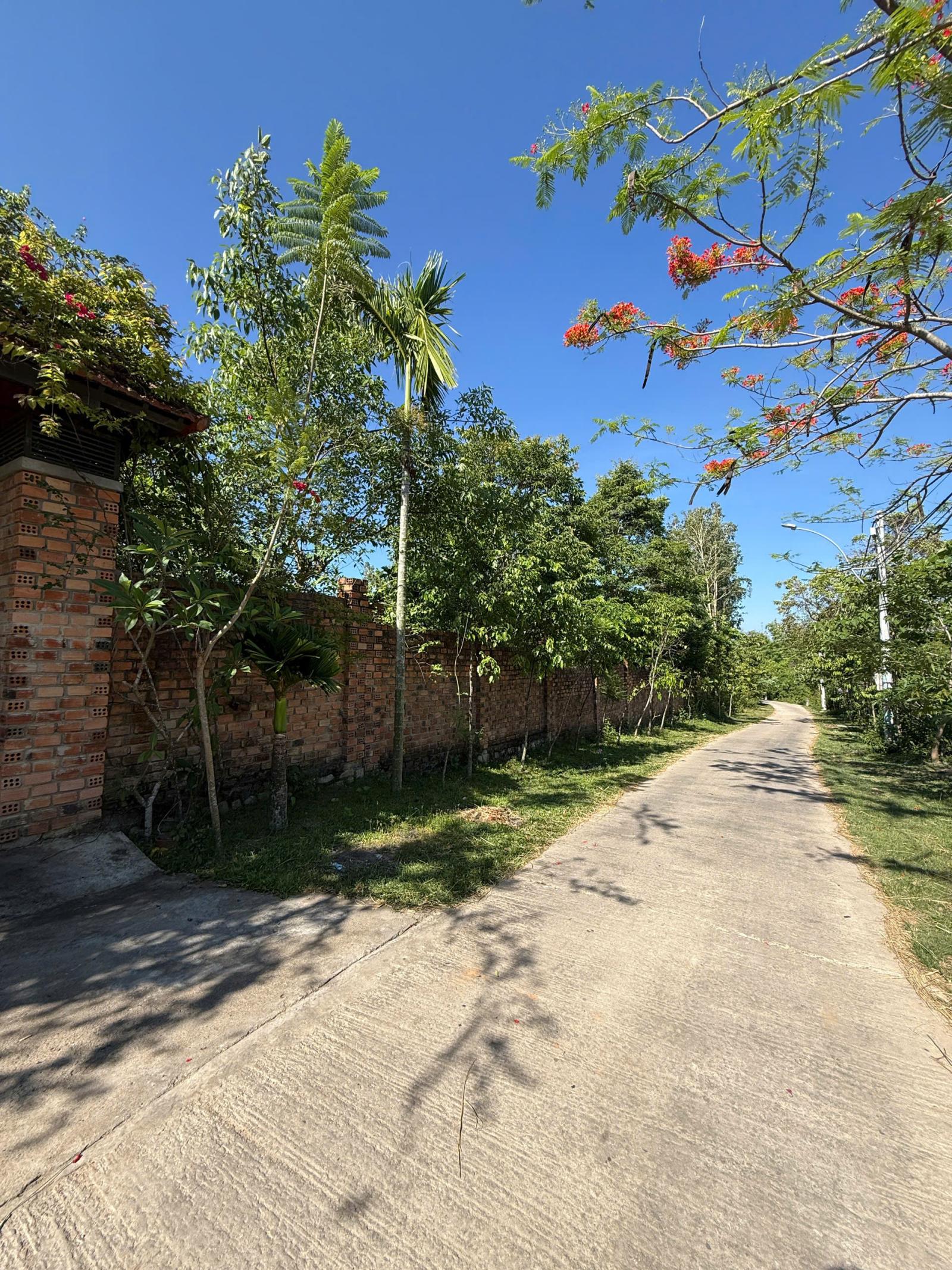 Quỹ Đất Mặt Tiền Hơn 100m - Cần Bán Nhanh Khu đất Nhà Vườn Tại 9 Thôn Kon Xút, xã Đăk Blà, TP. Kon 16004981