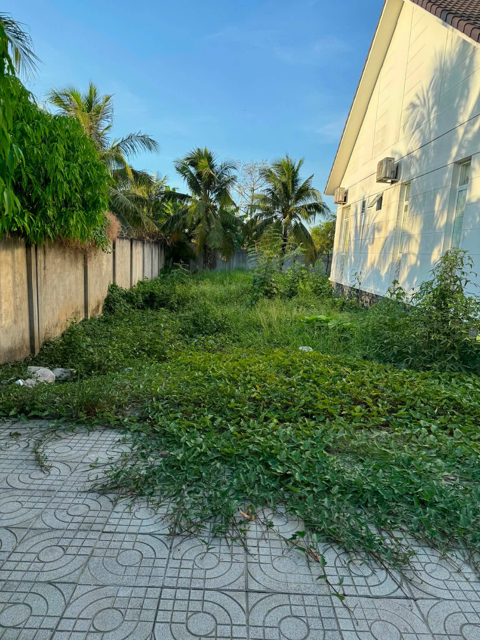 CHÍNH CHỦ BÁN ĐẤT DIỆN TÍCH LỚN 1.402M² – PHƯỜNG PHÚ TÂN, TỈNH VĨNH LONG 16004987