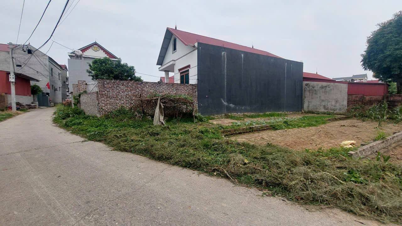 Đất Sóc Sơn, 73m2, mt4.3m, 2.x tỷ, Hiền Ninh, ô tô, thông, gần phố. 16005000