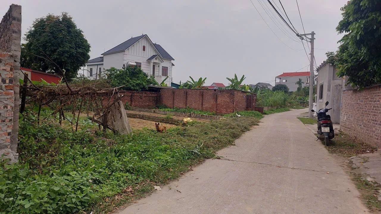 Đất Sóc Sơn, 73m2, mt4.3m, 2.x tỷ, Hiền Ninh, ô tô, thông, gần phố. 16005000