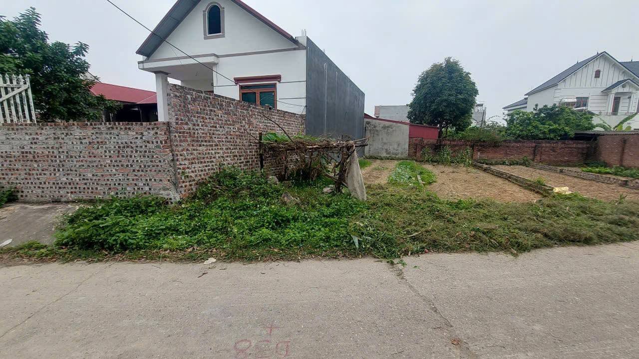 Đất Sóc Sơn, 73m2, mt4.3m, 2.x tỷ, Hiền Ninh, ô tô, thông, gần phố. 16005002