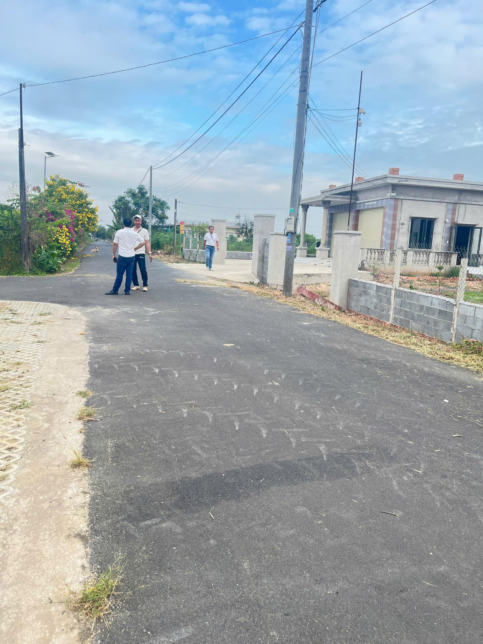 BÁN NHANH 8 LÔ ĐẤT MỖI LÔ NGANG 8M – GIÁ HIẾM KHU VỰC HỒ TRÀM 16005025
