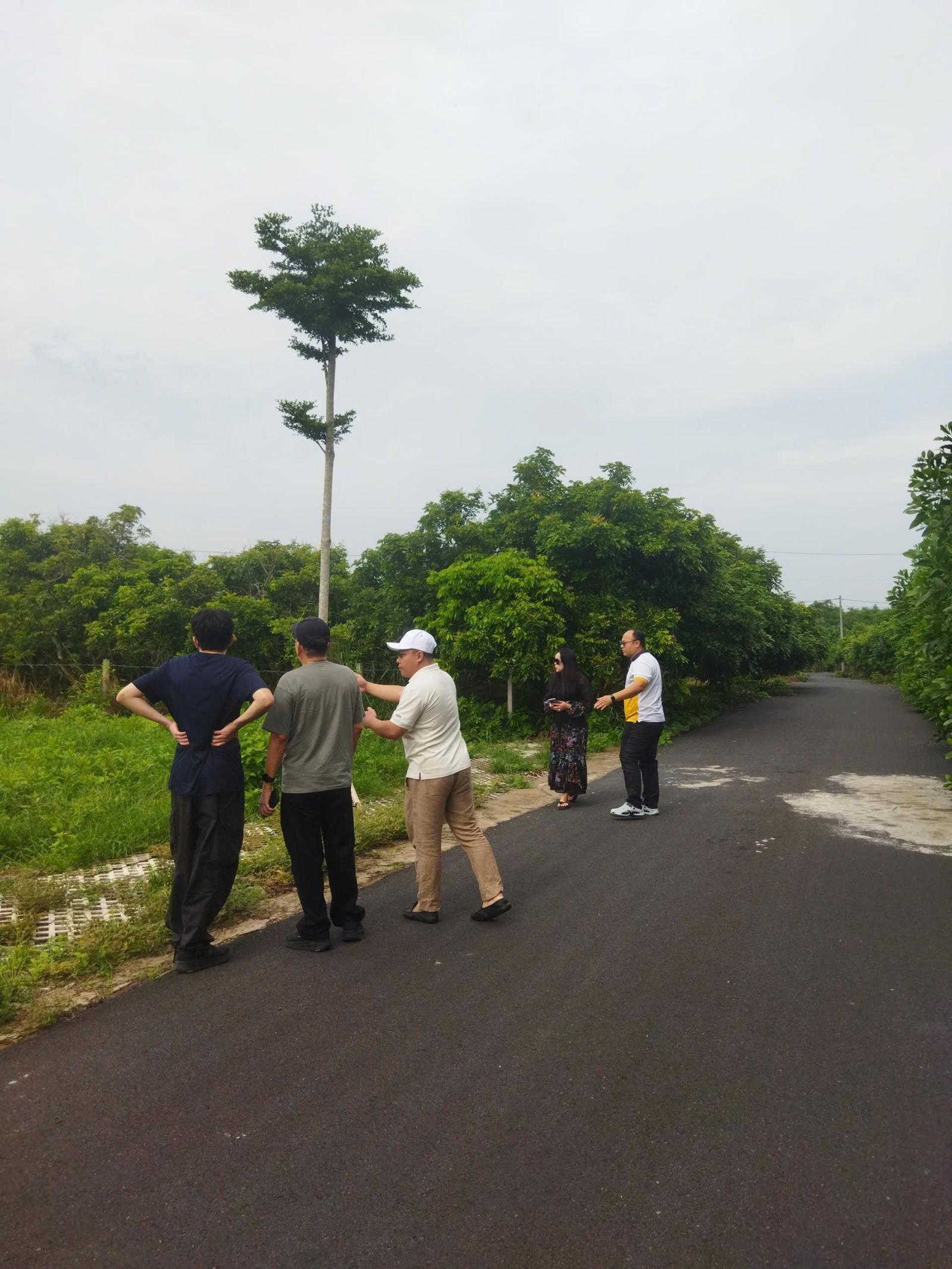 BÁN NHANH 8 LÔ ĐẤT MỖI LÔ NGANG 8M – GIÁ HIẾM KHU VỰC HỒ TRÀM 16005025