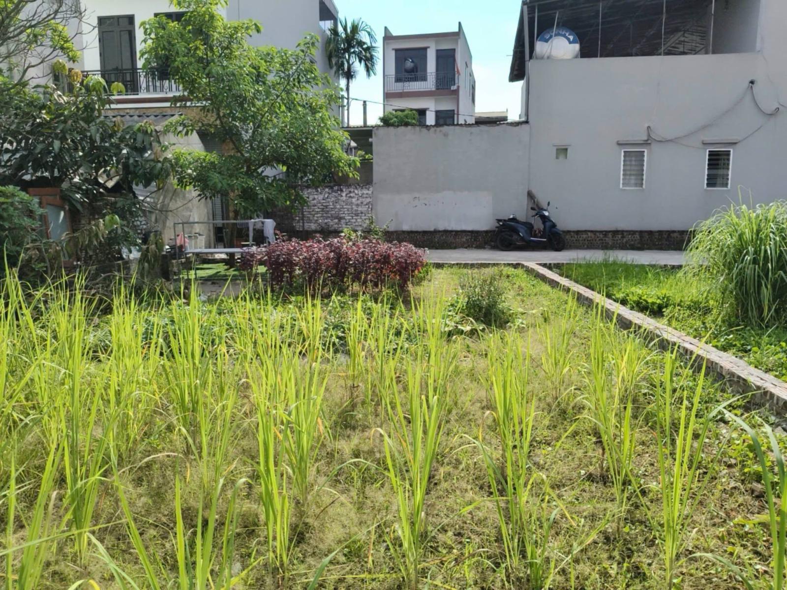 Nằm vùng VinBắc Hồng, 86m2, mt6.6m, ô tô tải, bìa làng, Đông Anh, 5.95 tỷ. 16005185