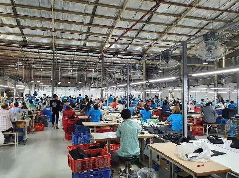 Cho thuê xưởng may siêu vip 5.000m² đường Phạm Văn Sáng, Bà Điểm, Hóc Môn. 16005215